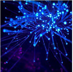 Blue light fiber optics symbolizing energy flow and holistic healing.